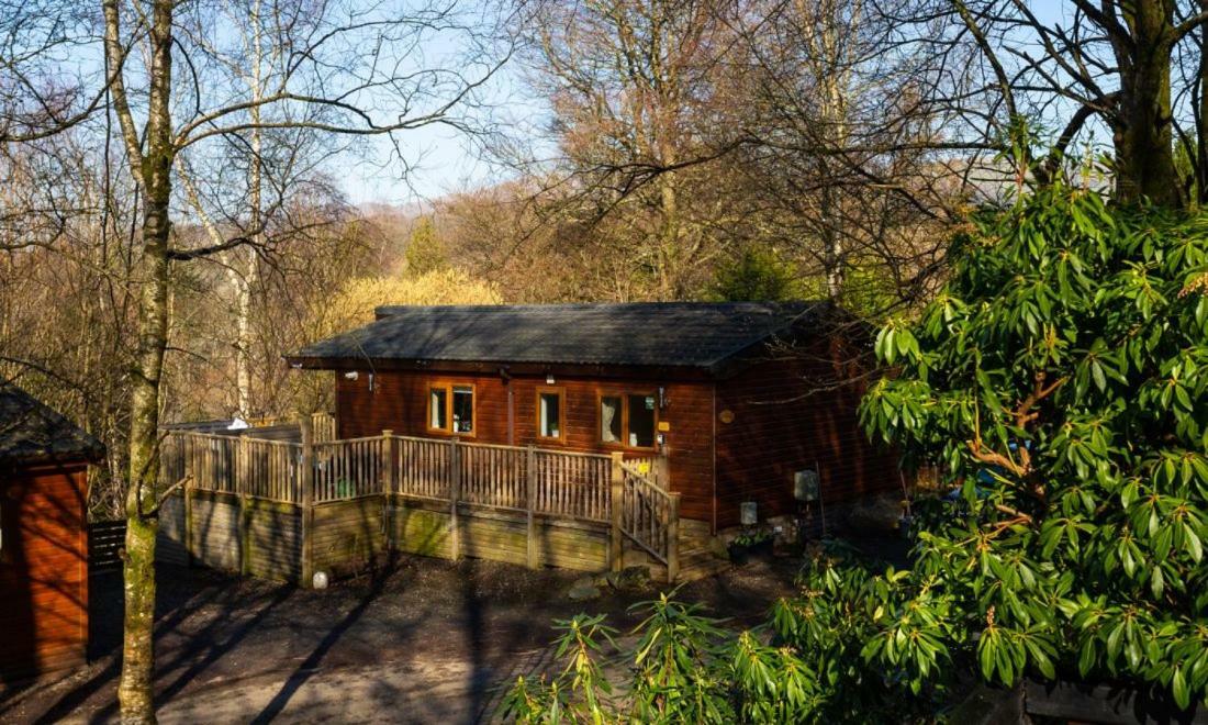 Owls House, White Cross Bay, Ambleside, ווינדרמר מראה חיצוני תמונה